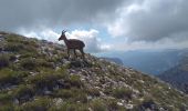 Trail Walking Saint-Agnan-en-Vercors - 38 Grand Veymont par le plateau - Photo 4