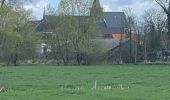 Tocht Stappen Lebbeke - 20220409 WSV Denderklokjes 12 km  - Photo 10