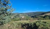 Excursión Marcha nórdica Les Salces - Boucle du Loup depuis les Salces - Photo 6