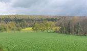 Trail Walking Brandivy - PR_56_Brandivy_AA_01_Etang-De-La-Foret_Circuit1b_20240417 - Photo 2