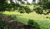 Tocht Stappen Genepiën - en passant par le bois ballon et les vignes du château de Bousval. - Photo 3