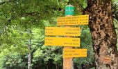 Trail Walking Val-d'Aigoual - Cascade d'Orgon-15-06-22 - Photo 5