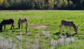 Tocht Stappen Saint-Antonin-sur-Bayon - barre du centre gege - Photo 3