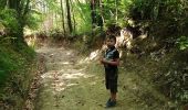 Trail Walking Claveyson - Le bois de Suze - Photo 2