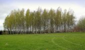 Randonnée A pied Bastogne - Promenade du chemin des Pélerins - Photo 1