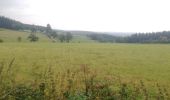 Trail Horseback riding Stavelot - Rando jour 2 Neuville - Waimes - Photo 1