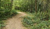 Trail Walking Bouillon - Curfoz- moulin de l'épine-Curfoz - Photo 6