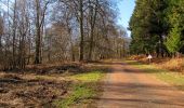 Tour Wandern Retheuil - en forêt de Retz_76_dans les forêts de Retz et de Compiègne - Photo 5