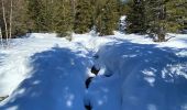 Percorso Racchette da neve Vaulnaveys-le-Haut - Lac Achard - Photo 17