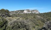 Trail Walking Eygalières - Petit et Gros Calan - Photo 1