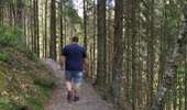 Trail Walking Malmedy - Canyon des Trôs-Marets   - Photo 2