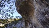 Randonnée Marche Monieux - Gorges de la Nesque - Photo 3