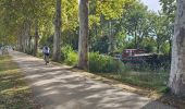 Tocht Fietstoerisme Toulouse - Canal du midi étape 1 - Photo 4