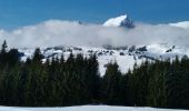 Excursión Esquí de fondo Ormont-Dessous - les mosses/pra croset - Photo 3