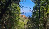 Excursión Senderismo Saint-Raphaël - 1 Les balcons du Cap Roux - Photo 10