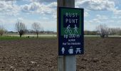 Tocht Stappen Alveringem - Door Vlaamse velden en IJzervallei - Photo 2