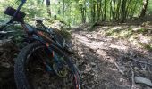 Tocht Mountainbike Chimay - Baileux - Couvin - Ry de Rome - Regniessart - 65km  : 1250 - Photo 11