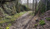 Trail Walking Anhée - Warnant - Haut le wastia, jonquilles - Photo 3