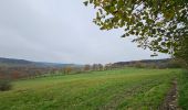 Trail Walking Stavelot - Stavelot et ses hameaux  - Photo 15