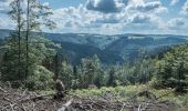 Tour Zu Fuß Steinach - Auf den Spuren des Schieferbergbaus - Photo 4