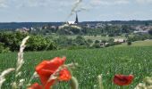 Tocht Te voet Blieskastel - Hasen-Rundwanderweg Niederwürzbach - Photo 8