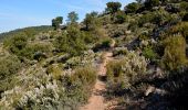 Tour Wandern Rayol-Canadel-sur-Mer - Wikiloc - Le rayon canadel - Opidum de monjean - Photo 1