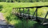 Tour Wandern Hohenfels - Houffalize 270622 - Photo 15