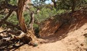 Tocht Stappen Unknown - 2024 Arches NP Devil's garden - Photo 15