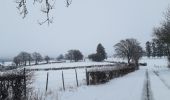 Tocht Stappen Büllingen - Murringen - Weissen Stein - Murringen  - Photo 15