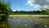 Tocht Te voet Fosses-la-Ville - Balade_-_Les_vestiges_de_la_ligne_150a - Photo 4