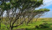 Tocht Te voet Texel - De Bollekamer - Photo 6