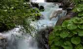 Trail Horseback riding Valbonnais - 2025-05-31 Rando CVA Valbonnais vers La Morte - Photo 3