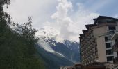 Randonnée Marche Chamonix-Mont-Blanc - Les Praz de Chamonix à Chamonix gare - Photo 3