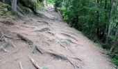 Tocht Stappen Chamonix-Mont-Blanc - Chamonix, cascade du dard,  glacier des boissons - Photo 9