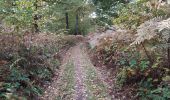 Trail Walking Gedinne - Ange gardien - Photo 1