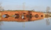 Excursión A pie Wychavon - Eckington Wharf Circular Walk - Photo 9