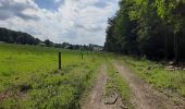 Trail Walking Tinlot - Ramelot  - Photo 2
