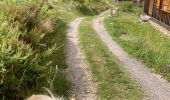 Trail  Fraize - Rando fraize chez Delphine  - Photo 5