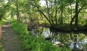 Randonnée Marche La Calotterie - Autour de Montreuil sur mer  - Photo 11