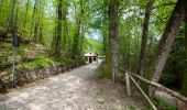 Trail On foot Abbadia San Salvatore - Anello dell'Amiata - Photo 5