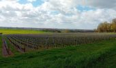 Randonnée Marche Brissac-Loire-Aubance - St Saturnin  - Photo 1