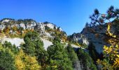 Tour Wandern Saint-Agnan-en-Vercors - Rando ASPTT Pas des Econdus Pas  de Chabrinel - Photo 5