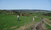 Tour Zu Fuß Stoumont - GrWandArd12: Rahier de groene hoogten tussen Ambleve en Lienne - Photo 7