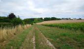 Percorso Marcia Cangey - Cangey - PR Entre Vignes et Forêts - 10km 115m 2h15 - 2023 07 05 - Photo 4