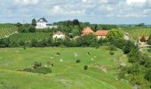 Randonnée A pied Bönnigheim - Bönnigheimer Rundwanderweg - Photo 6