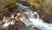 Tour Wandern La Roche-en-Ardenne - Balade à Samrée - Photo 7