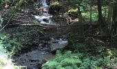 Excursión Senderismo Le Val-d'Ajol - Cascade de Faymont - Photo 12