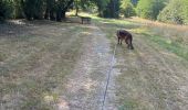 Tour Wandern Confolens - Confolens - Photo 1