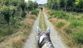 Tour Reiten Vielsalm - Mont-le-Soie Boucle orange - Photo 1