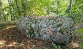 Tour Wandern Thoré-la-Rochette - Thoré-la-Rochette  - Photo 17